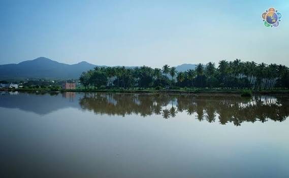 Palms and the Puttaparthi hills mirrored in the still Chitravathi river