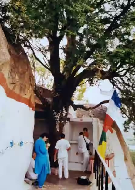 The Kalpa Vriksham tamarind tree spreading over the small hilltop shrine above the Chitravathi